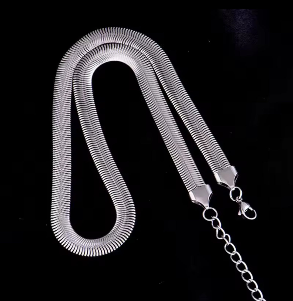 Stainless steel, snake bone necklace.