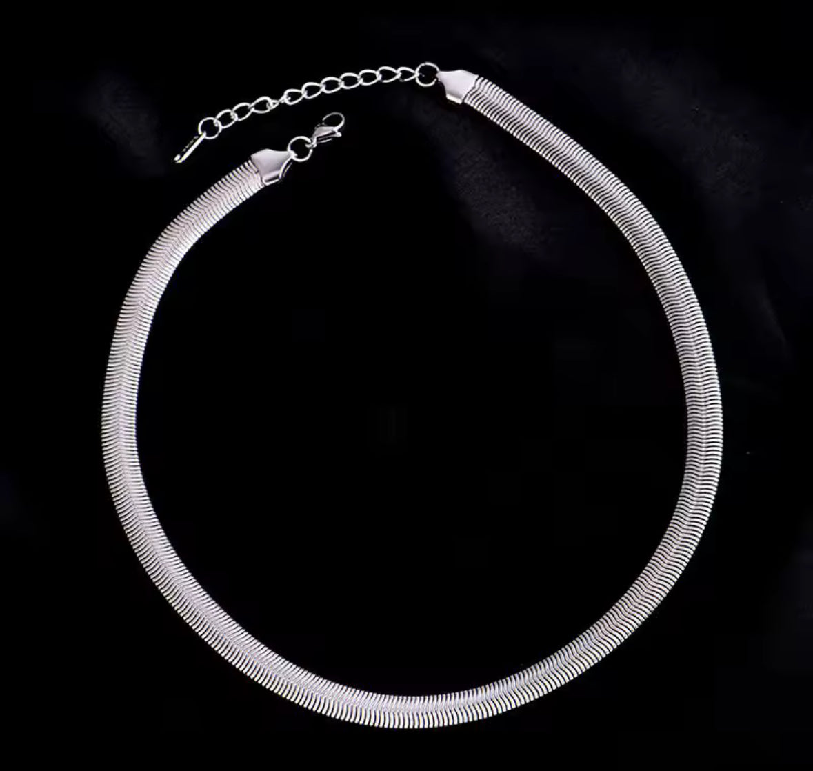 Stainless steel,  snake bone necklace.