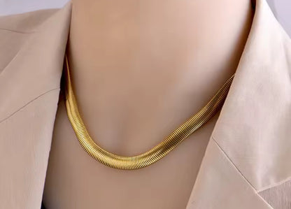 Stainless steel,  snake bone necklace.