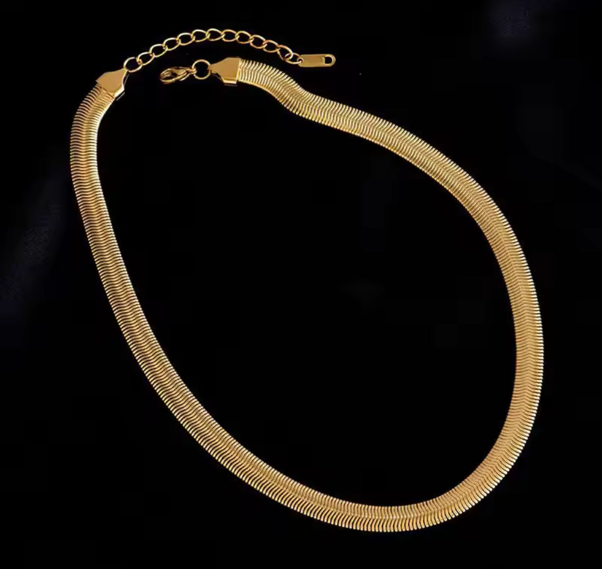 Stainless steel,  snake bone necklace.
