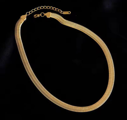 Stainless steel,  snake bone necklace.