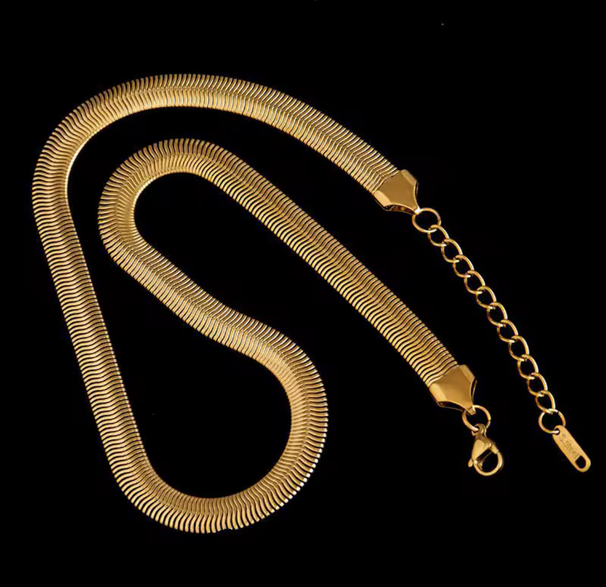 Stainless steel,  snake bone necklace.