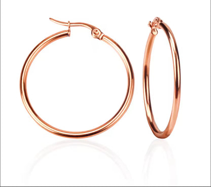 Rose Gold Stainless Hoops Earrings