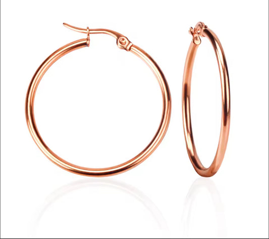 Rose Gold Stainless Hoops Earrings